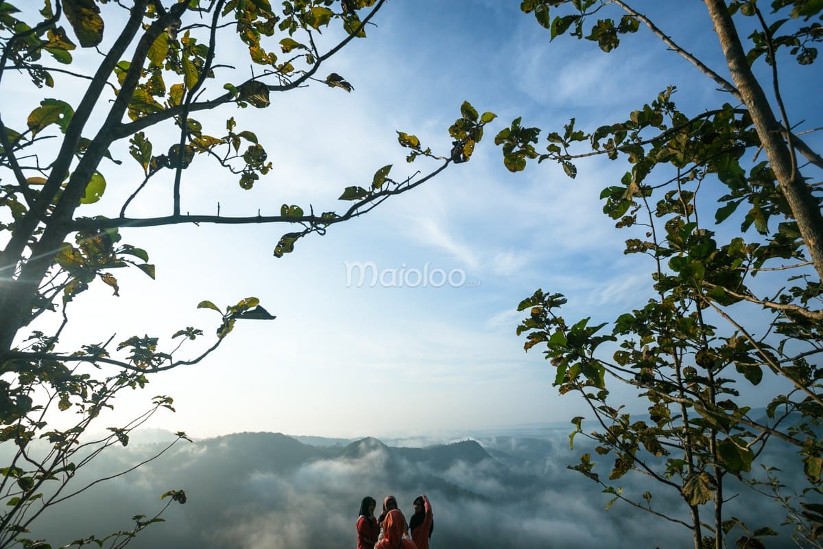 Three people enjoy the cloud-covered hills from a scenic point at Panguk Kediwung Hill, framed by tree branches.