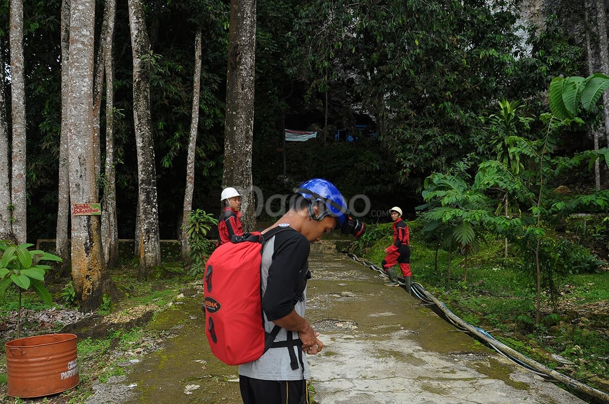 Adventurers preparing to enter the lush forest path leading to Cerme Cave.