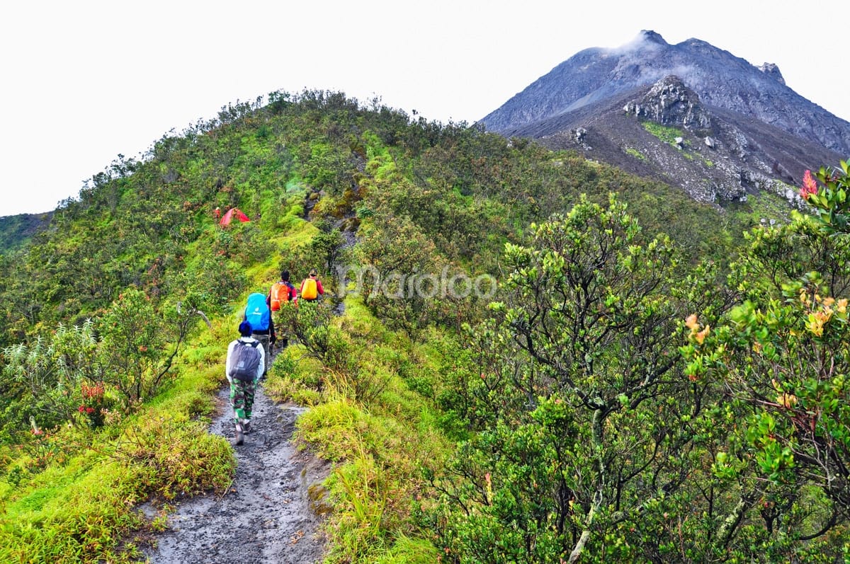 Hikers walking along a lush green trail on Mount Merapi, approaching Watu Gajah with the volcano visible in the background.