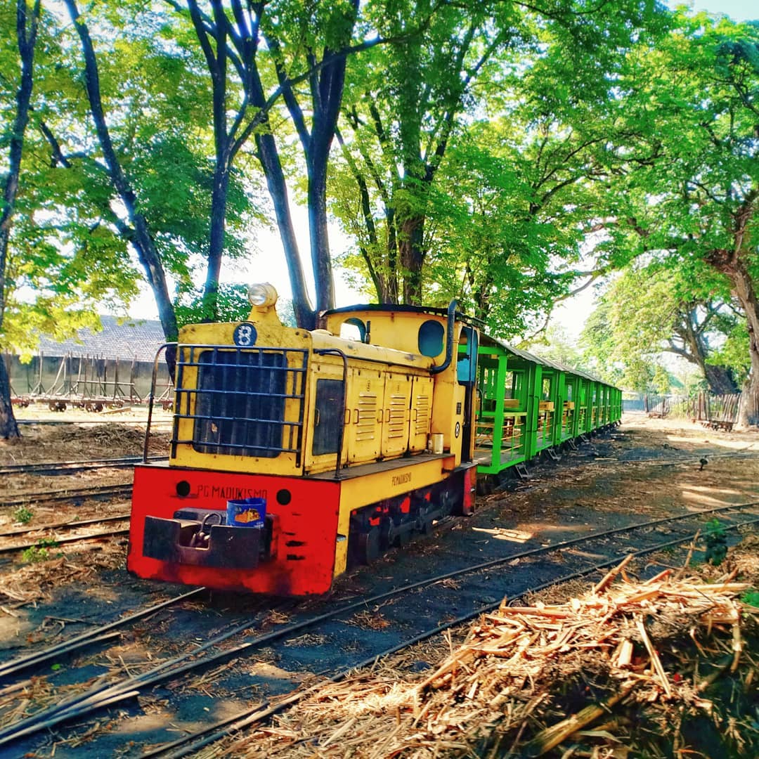 A vintage yellow-and-red locomotive at Madukismo Sugar Factory, pulling green passenger carriages along an old railway through shaded trees.