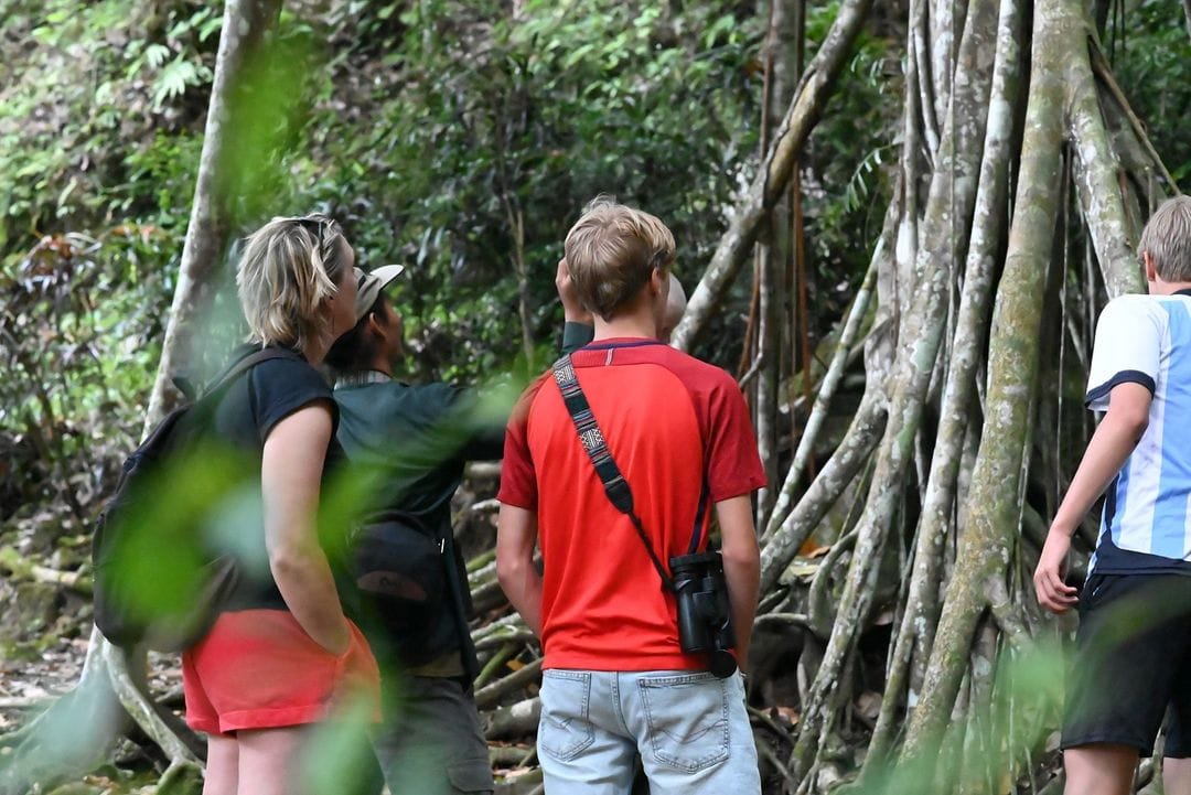 A group of tourists observing birds in their natural habitat during a bird-watching activity in Wanagama Forest, surrounded by tall trees and greenery.