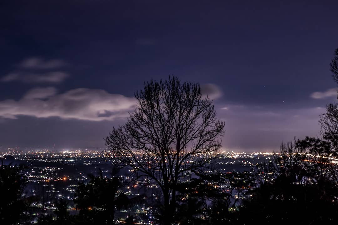 A tree silhouette against the backdrop of Yogyakarta's sparkling city lights at night, as seen from Bukit Bintang.