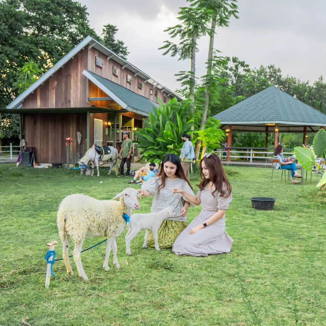 Two women feeding and petting sheep on a lush green lawn at the Little Zoo in Obelix Village, with barns and other visitors in the background.