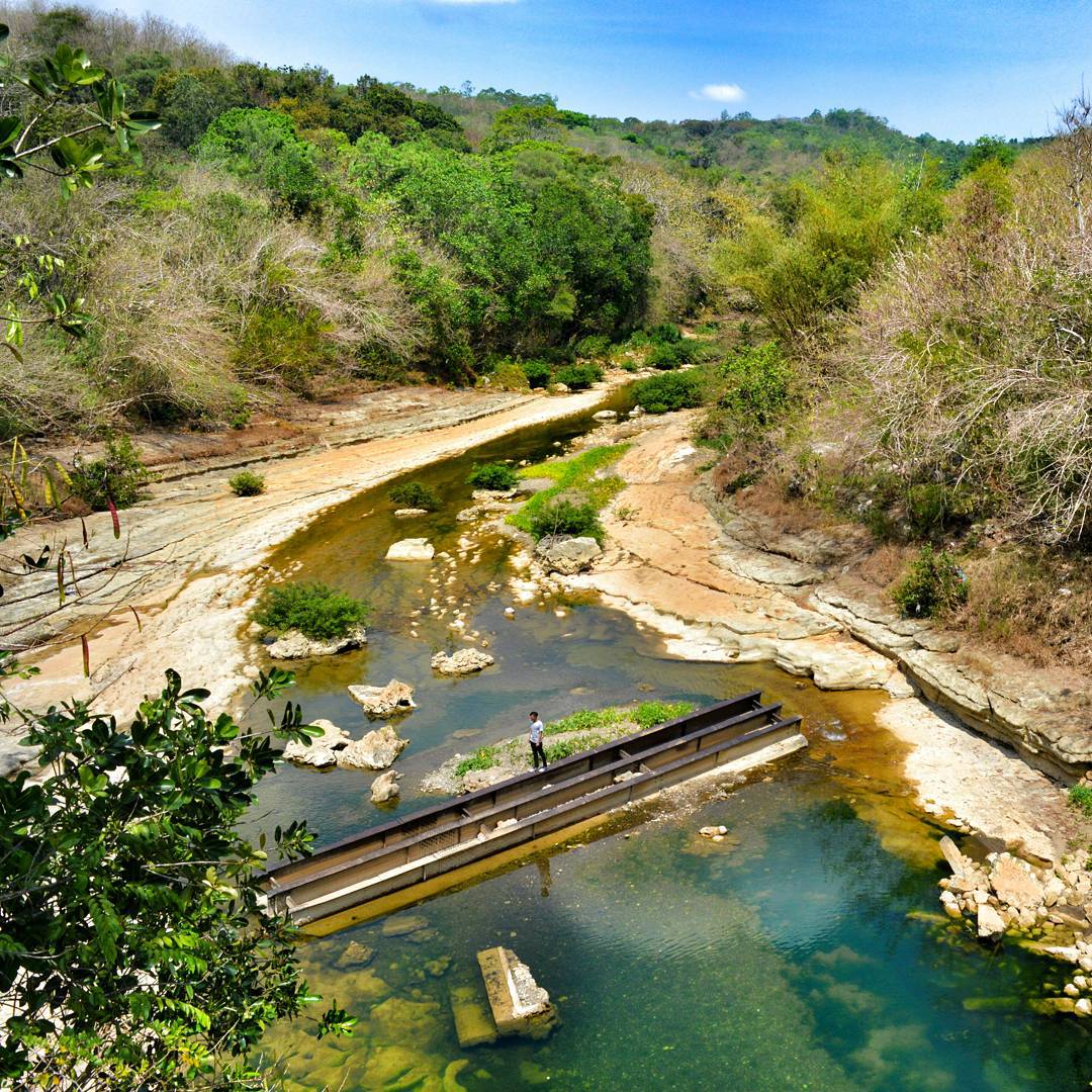 A scenic view of a clear river winding through Wanagama Forest, surrounded by diverse greenery and rocky terrain, showcasing its abundant biodiversity.