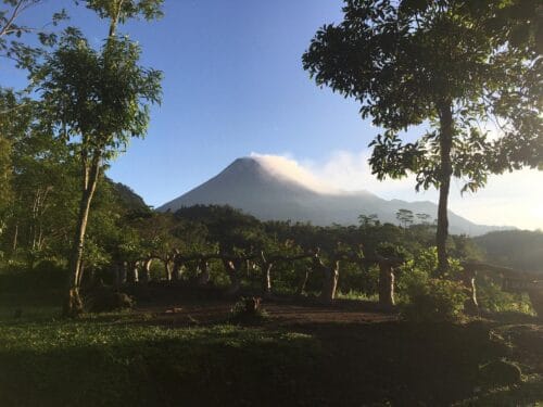 View of Mount Merapi surrounded by green trees in Tankaman Natural Park under a clear blue sky.